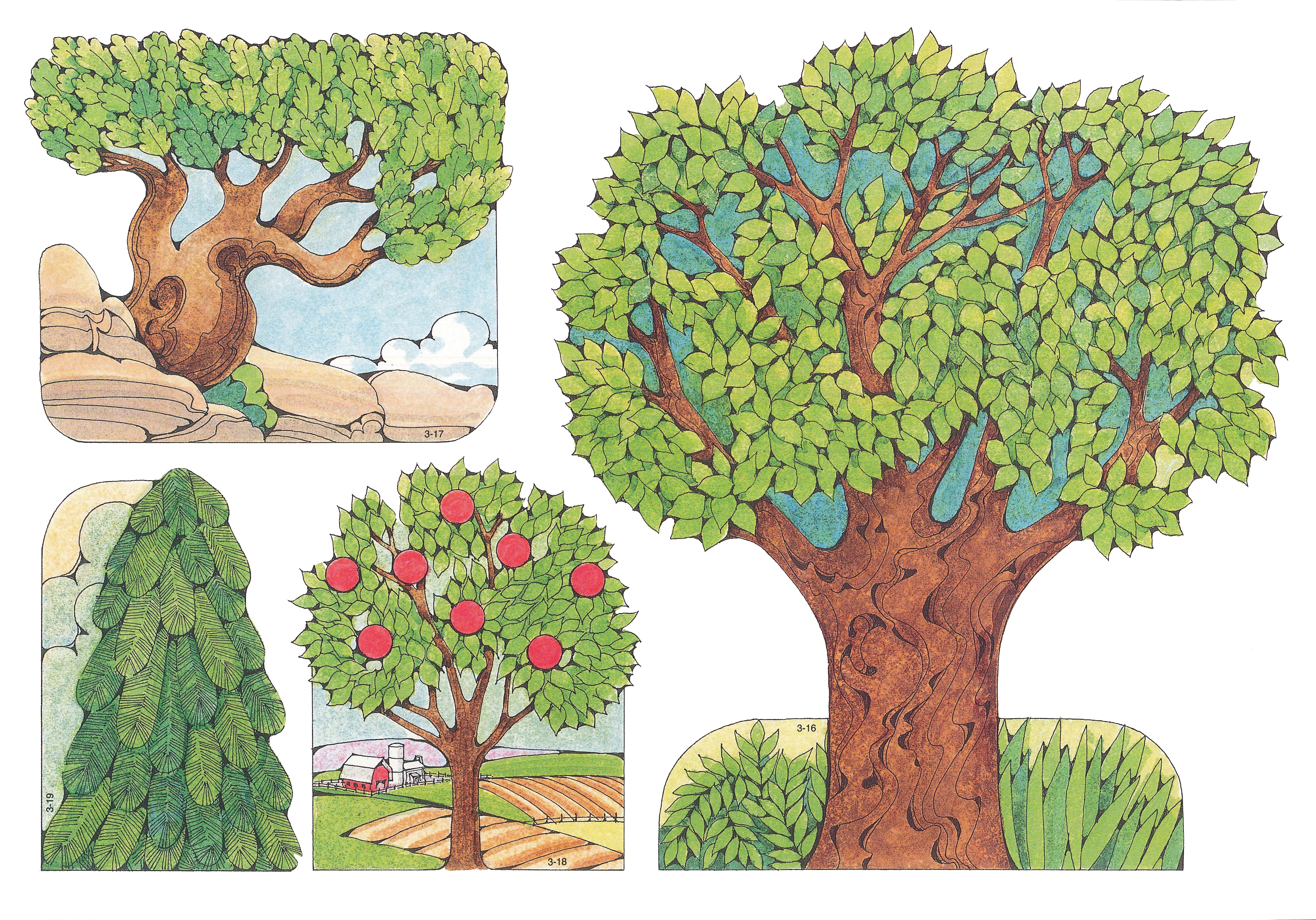 Primary cutouts of a large tree by grass, a small gnarled tree by rocks, a small tree with red apples on a farm, and a small pine tree.