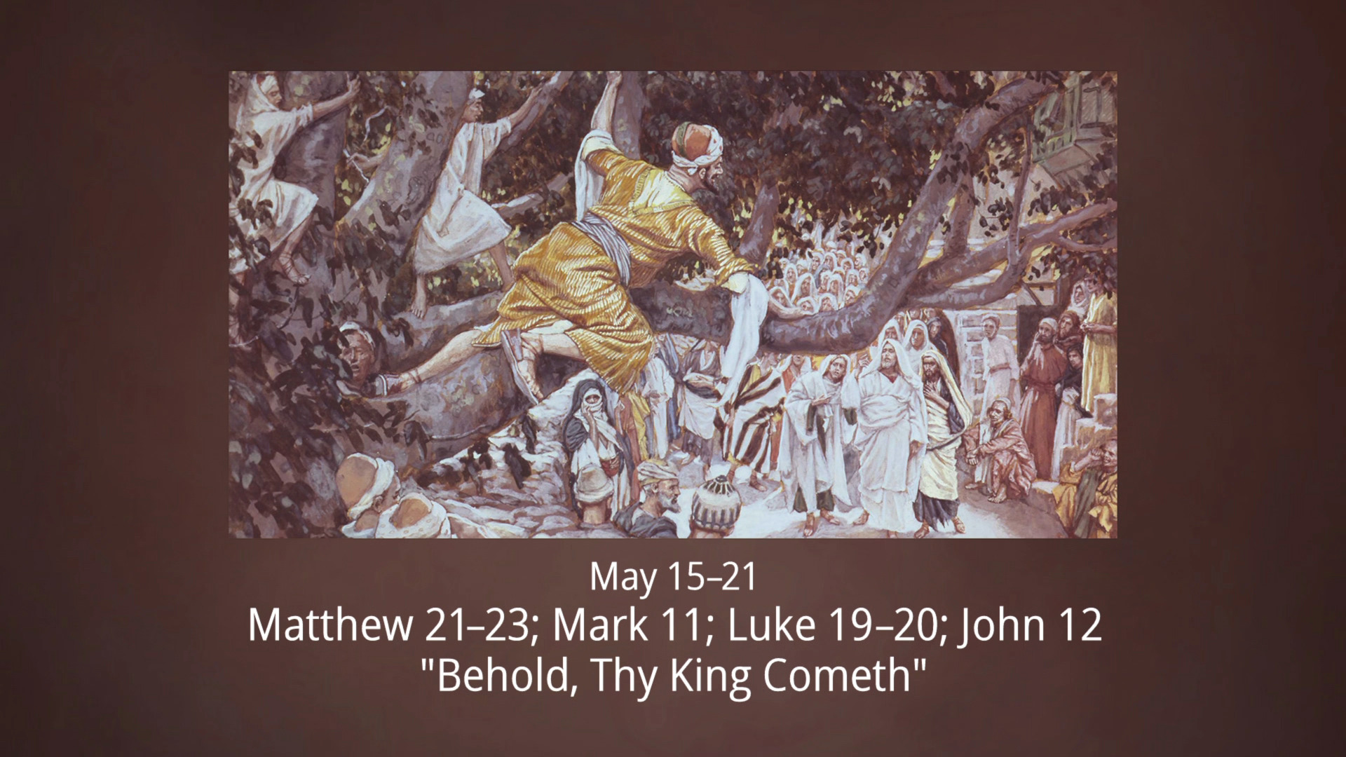 May 15 21 Matthew 21 23 Mark 11 Luke 19 20 John 12 Behold Thy 