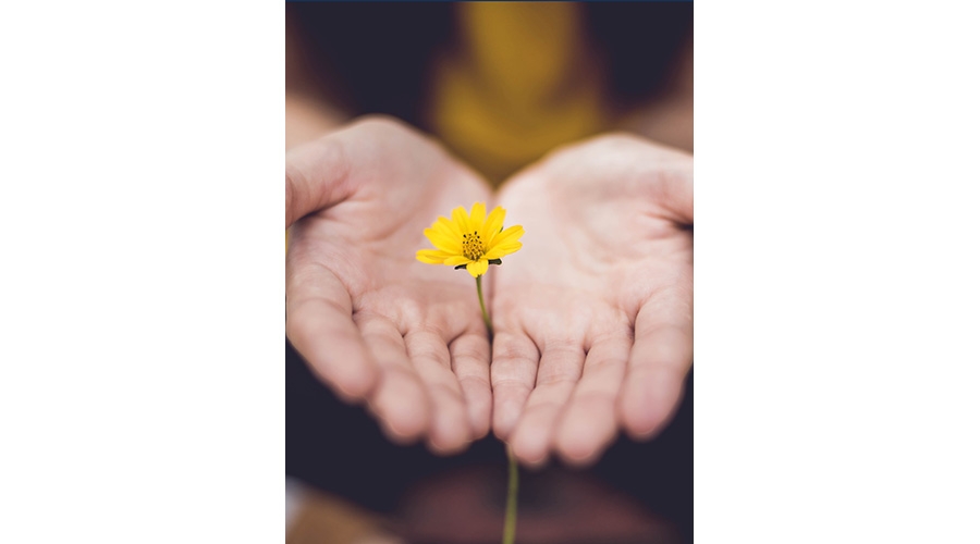 Hands and Flower