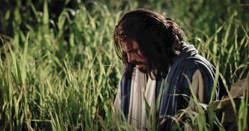 祈りを続けるために再び園に戻り，ひどい苦しみをお受けになるイエス。