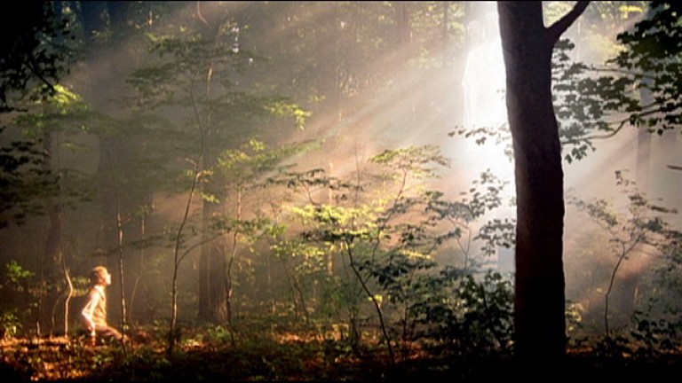 Wide shot of Joseph Smith experiencing the First Vision in the Sacred Grove