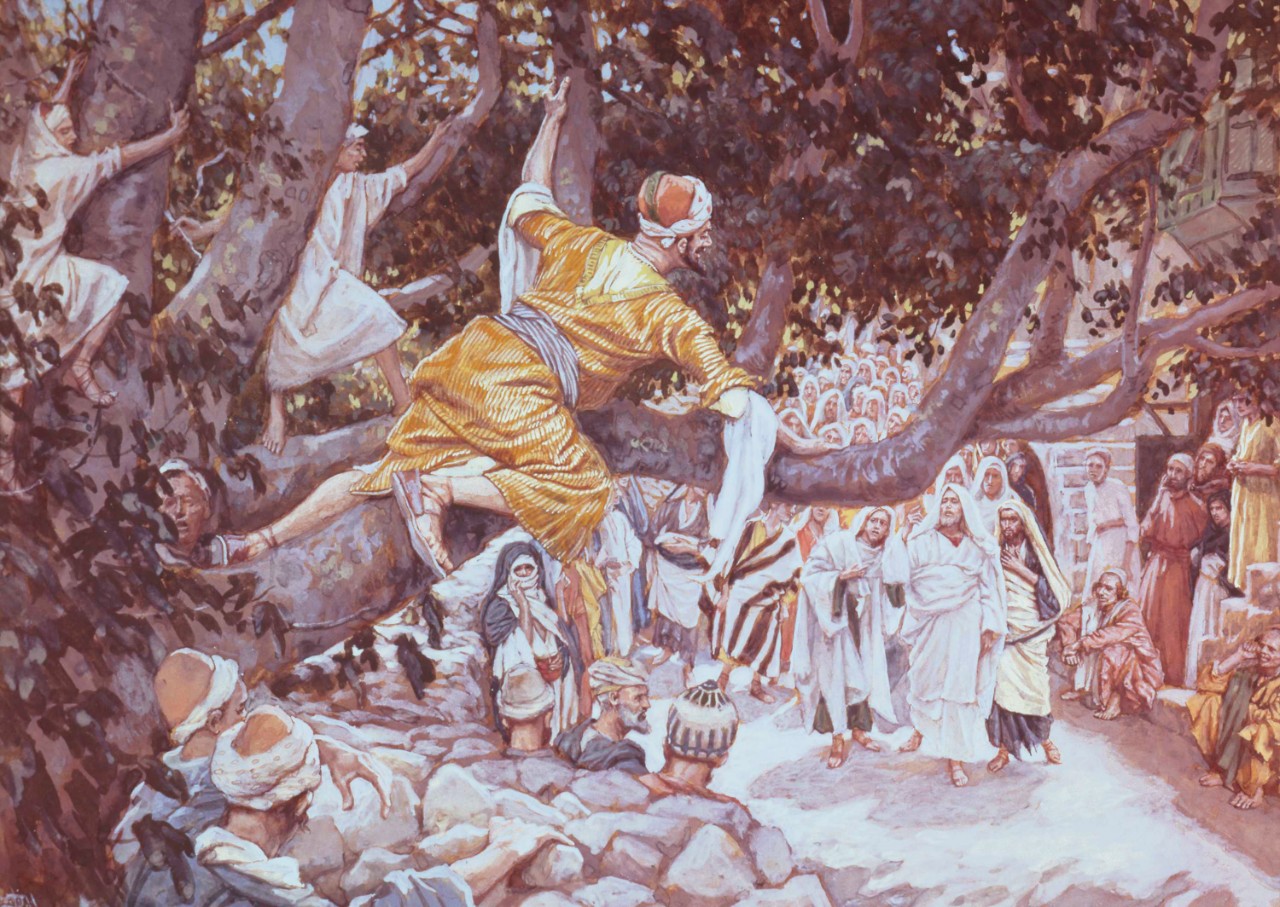 A painting by James Tissot showing Zacchaeus in a yellow robe lying in the branches of a large tree and looking down at Christ and His followers.