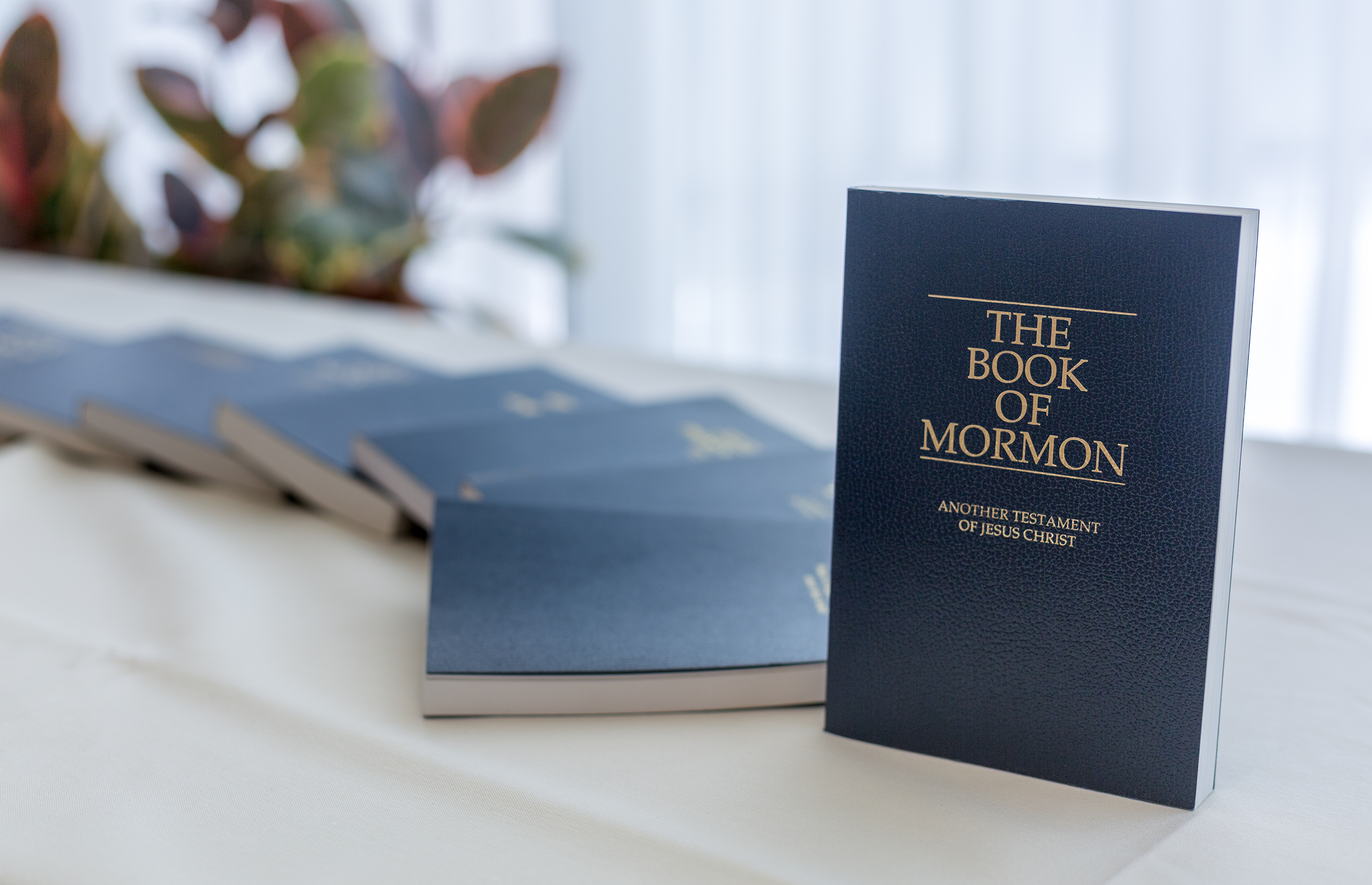 Image of Book of Mormon upright with several more laying down on a table next to it.