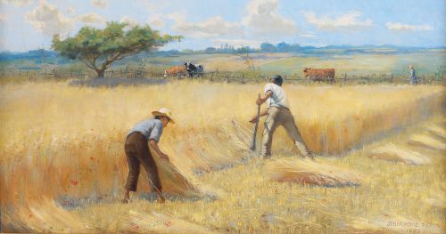 män som arbetar på fältet