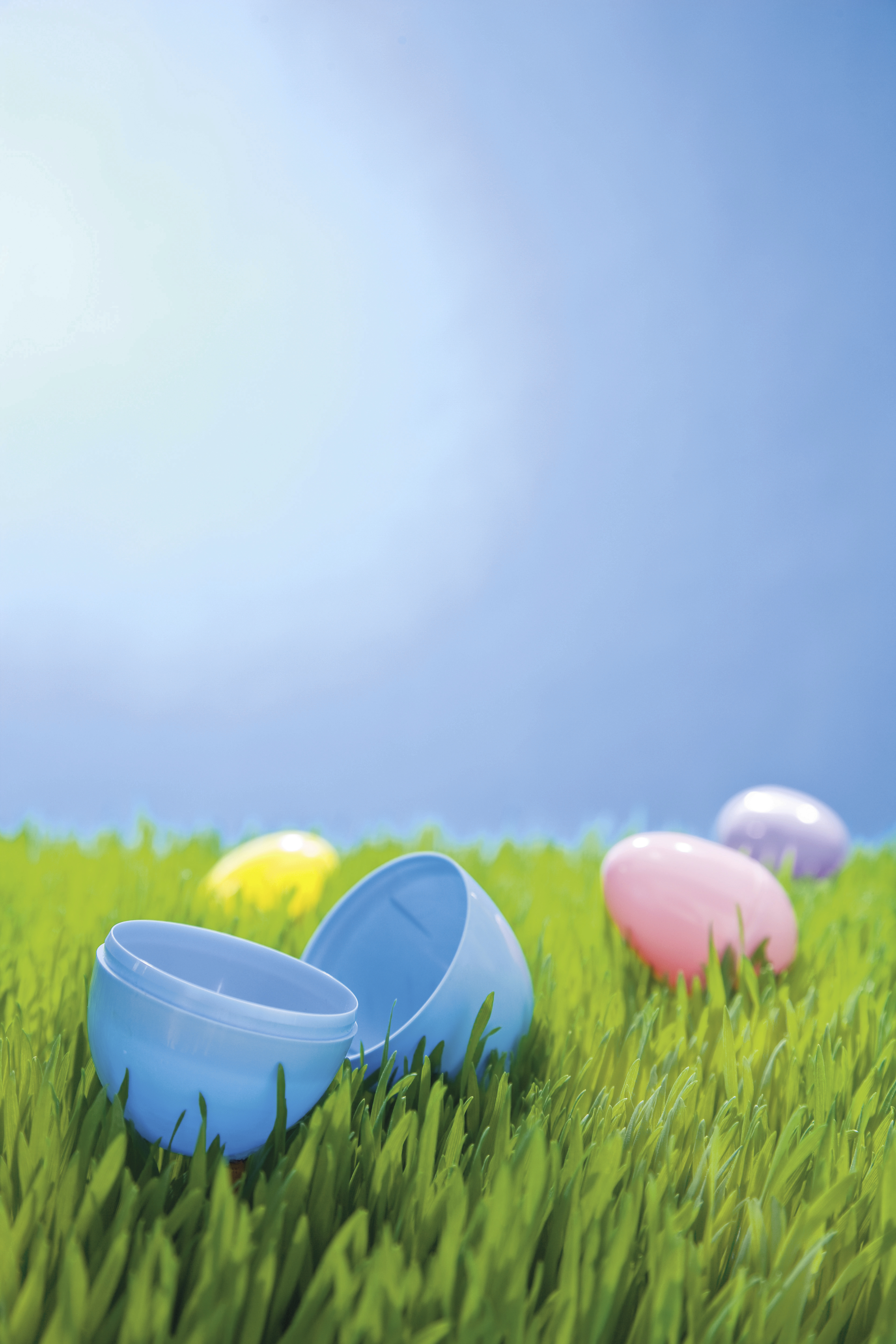 easter egg grass background