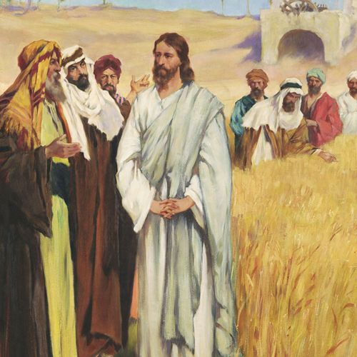 Jesus in the Cornfields