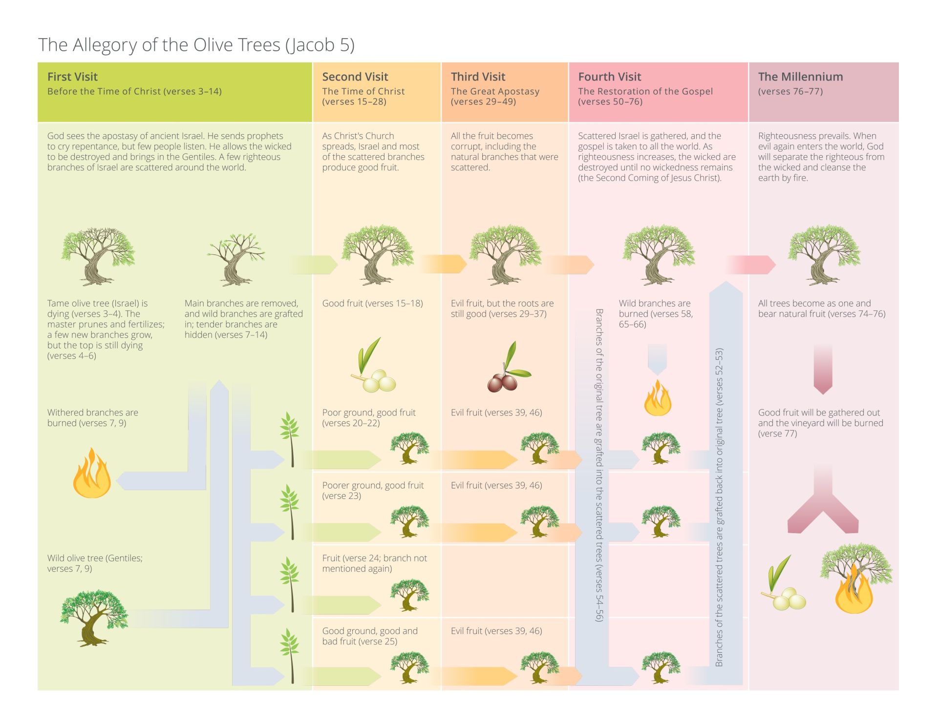 The Olive Tree Allegory