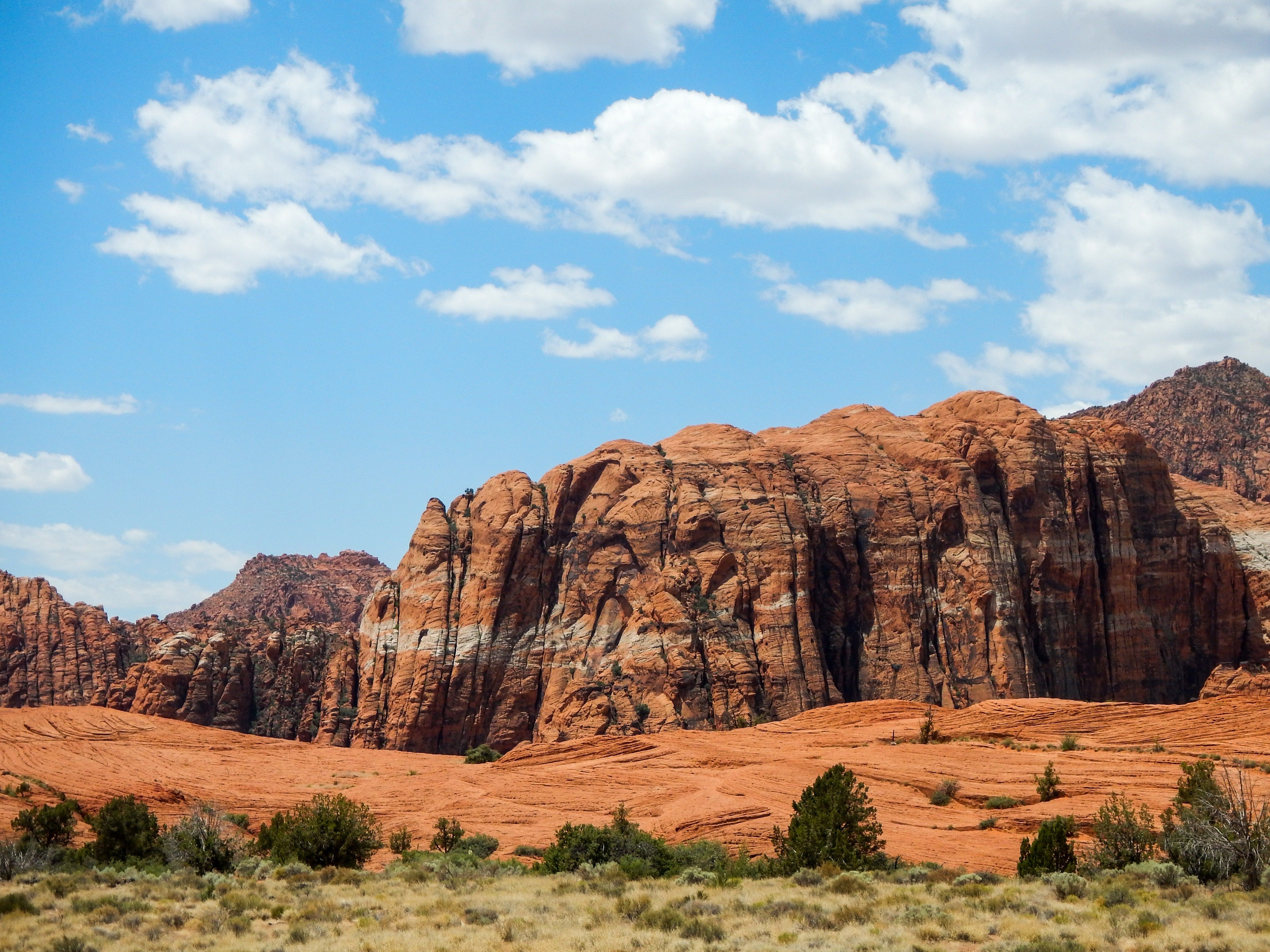 are dogs allowed in snow canyon state park