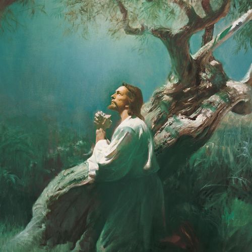 5 Principles to Help You Understand and Access the Atonement of Jesus Christ