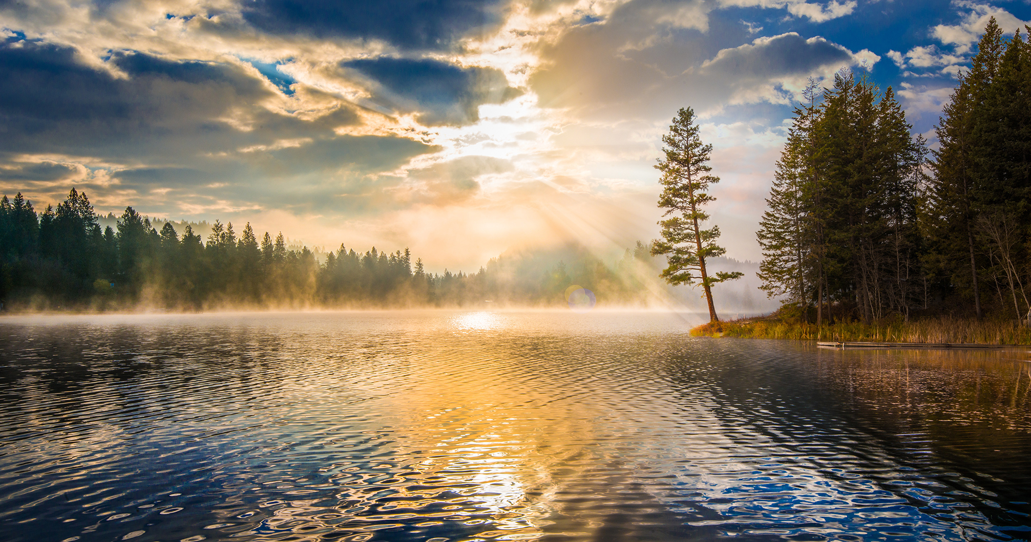 Pine tree reflect in lake in morning light.
