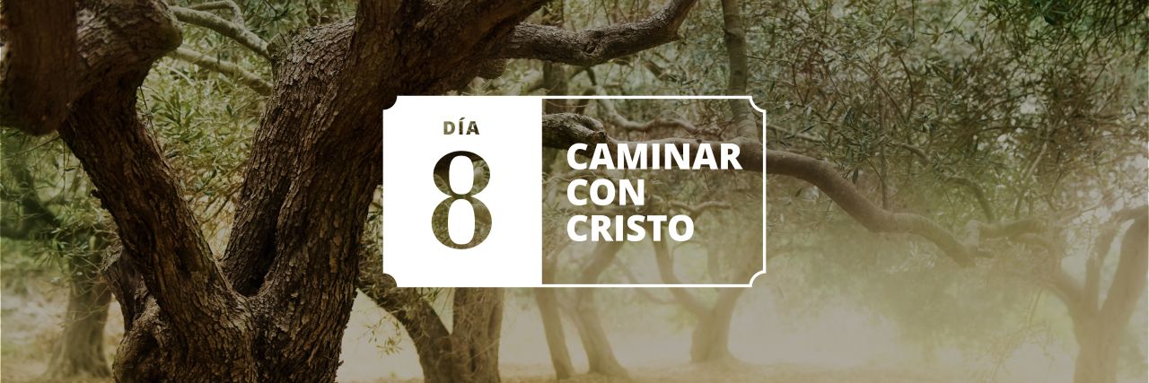 Olivos