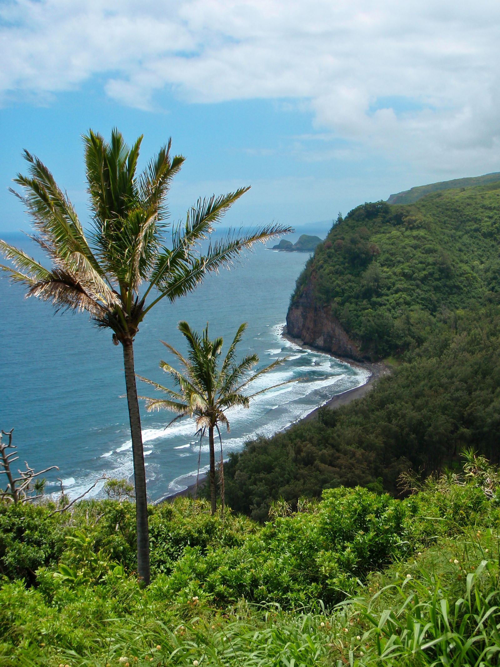 Hawaii Beach