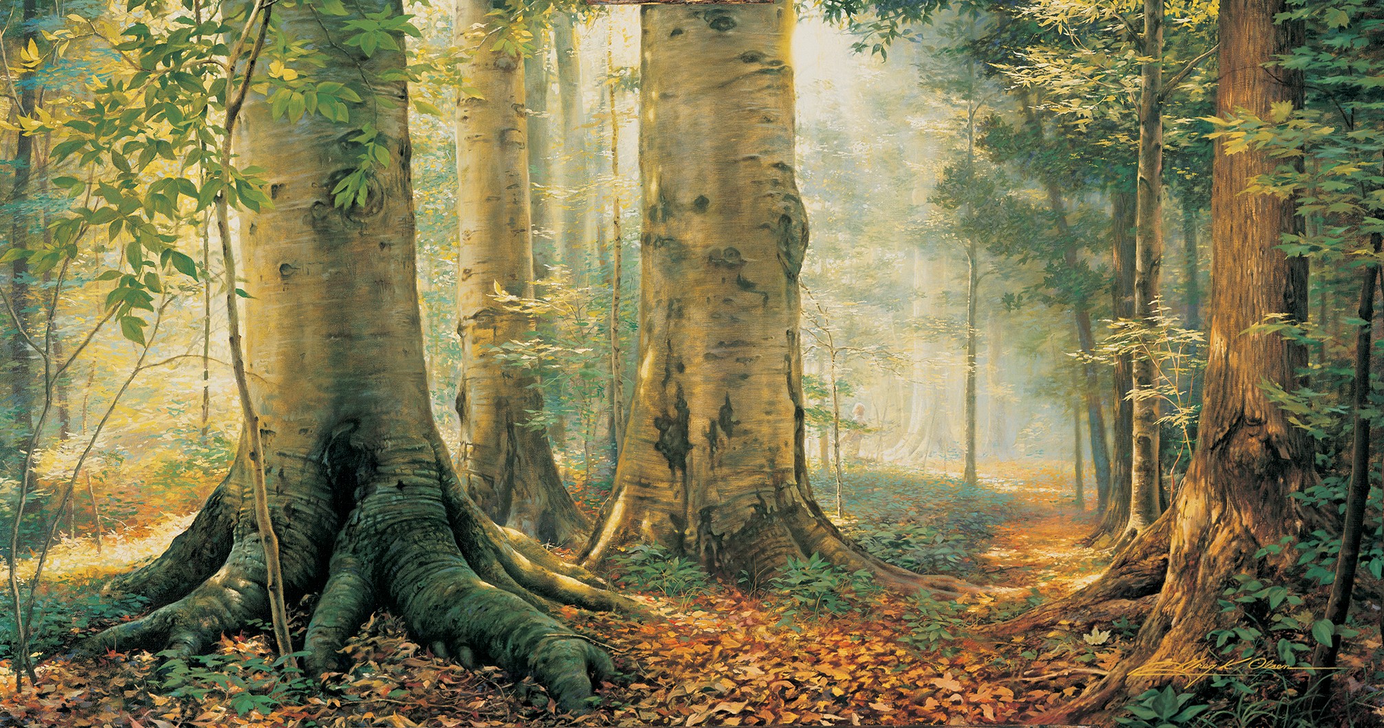 Joseph Smith kneels in Sacred Grove with light streaming through the trees.