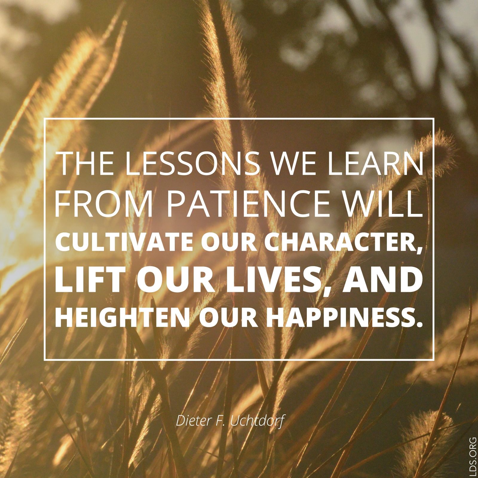 “The lessons we learn from patience will cultivate our character, lift our lives, and heighten our happiness.”—President Dieter F. Uchtdorf © undefined ipCode 1.