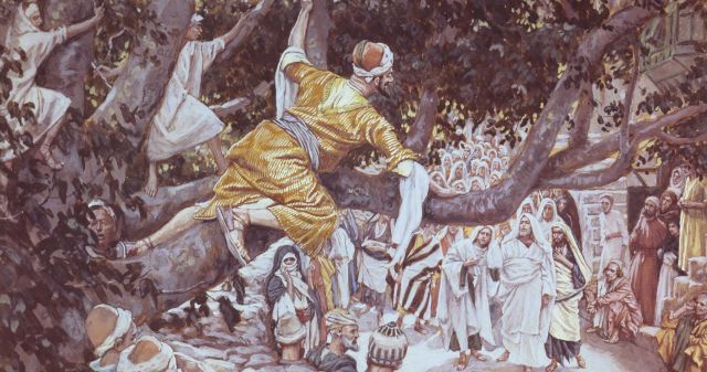 Zacchaeus in the Sycamore Tree, by James Tissot