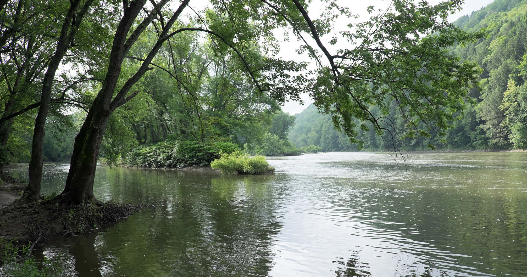 Susquehanna River lined by trees flows near Priesthood Restoration Site.