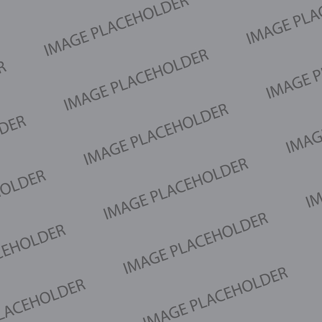 Image Placeholder 