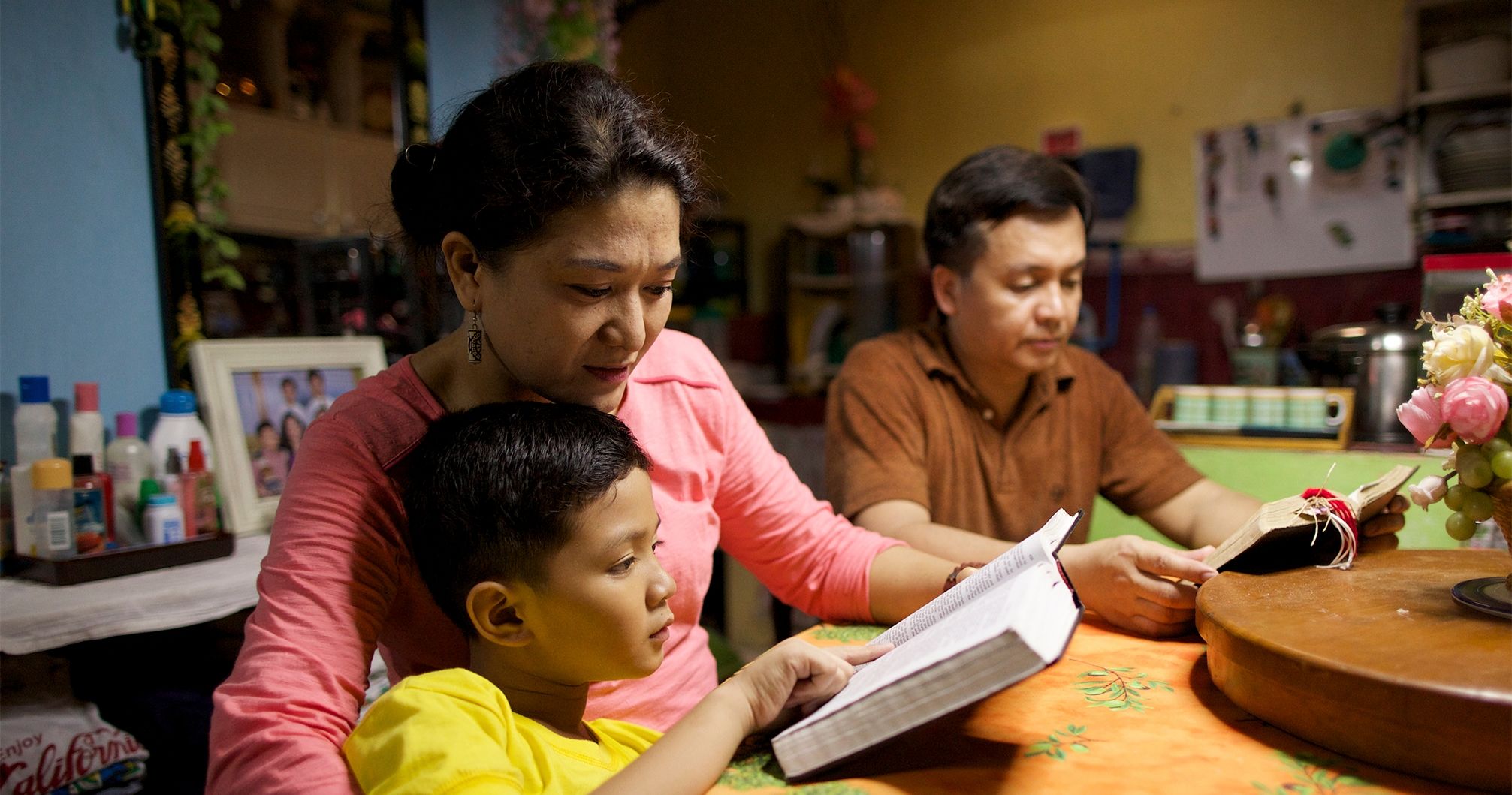 Family studies. Family study.
