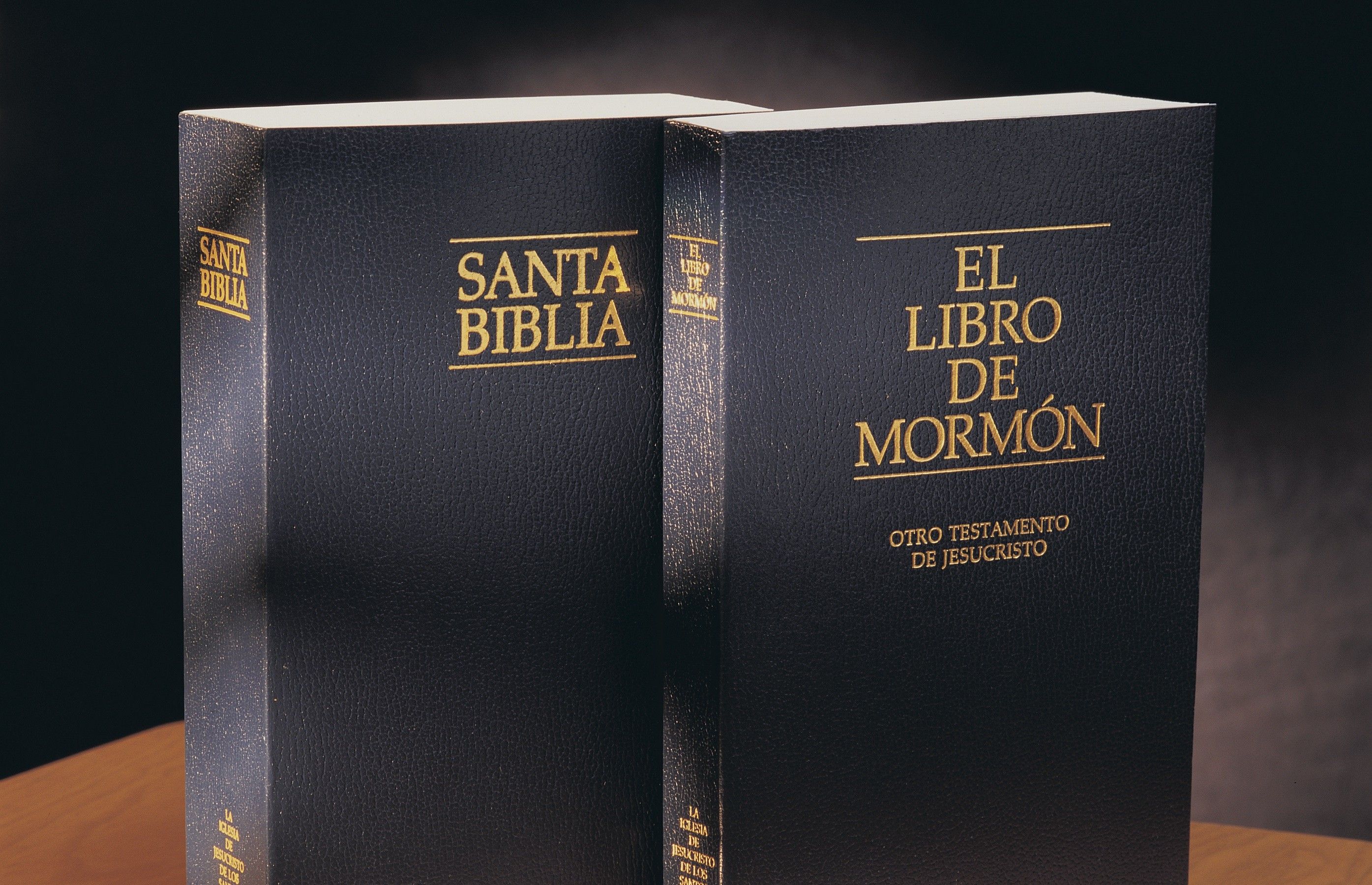 La Biblia y el Libro de Mormón trabajan en conjunto | veniracristo