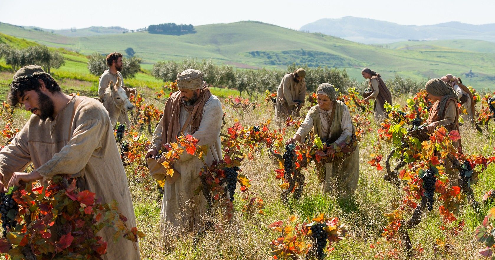 Jesus Christ. Parables. Laborers in the Vineyard