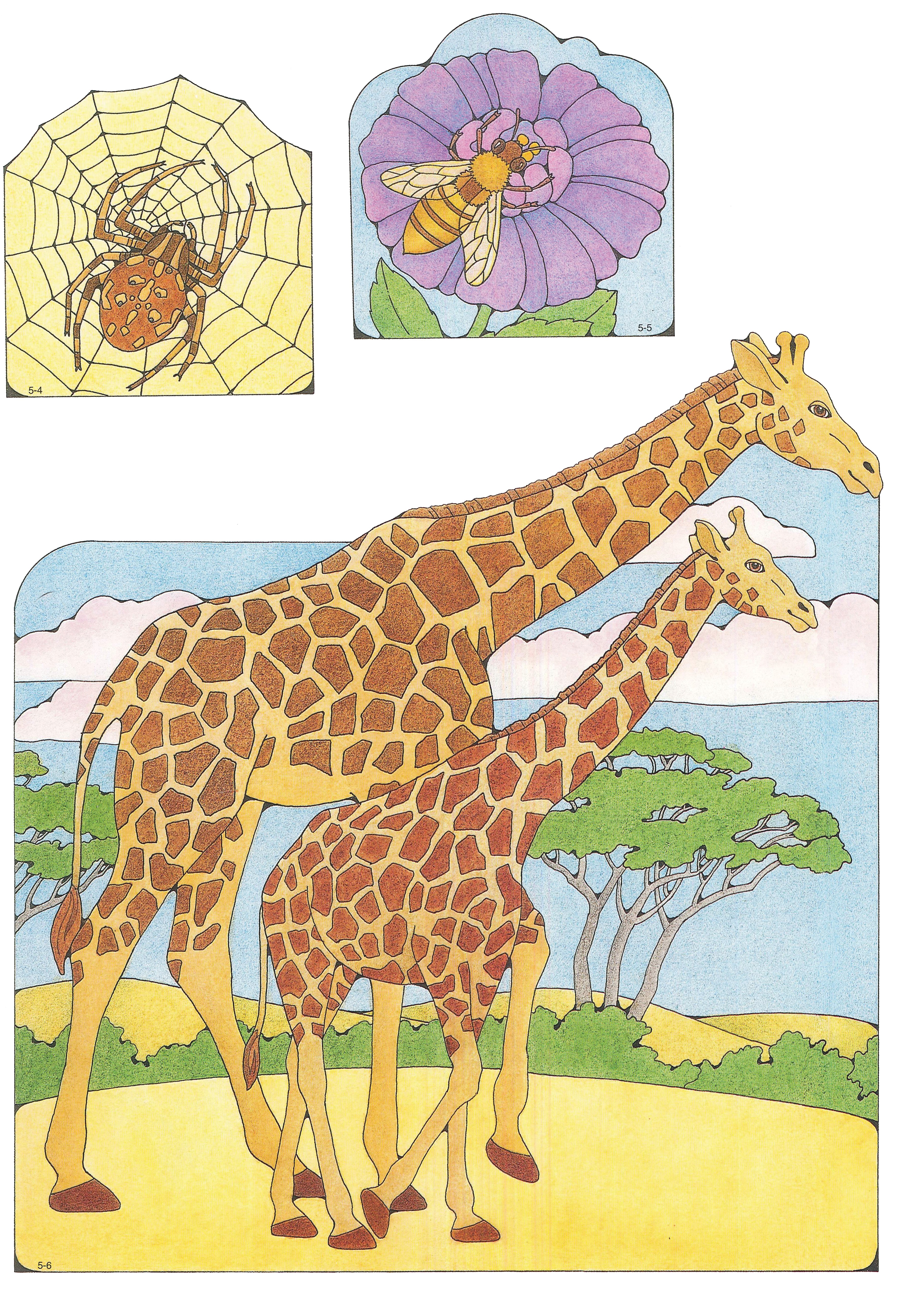Primary cutouts of a brown spider on a spiderweb, a bee on a purple flower, and a mother giraffe walking with her baby.