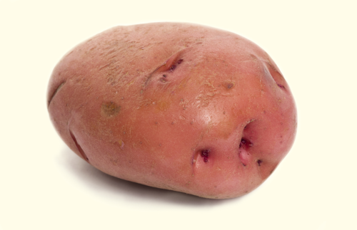 A Potato For the Teacher