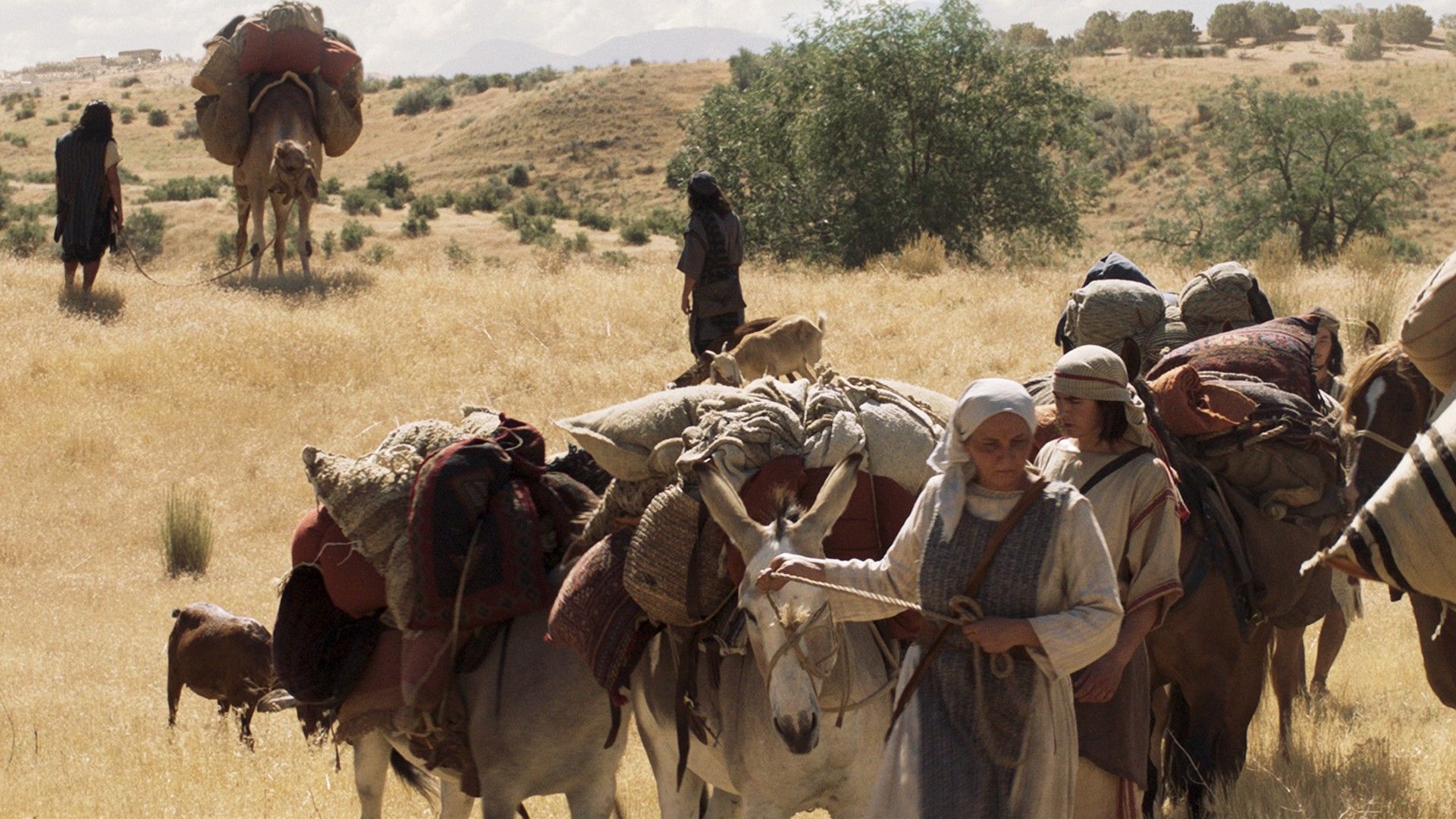 The Lord Commands Lehi's Family to Leave Jerusalem | 1 Nephi 1–2