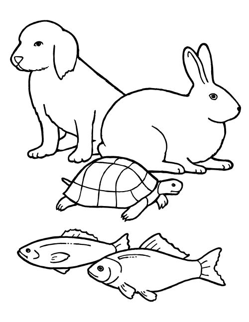 A black-and-white illustration of a puppy, rabbit, turtle, and two fishes.