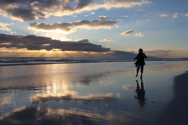 Silhouette on the Beach