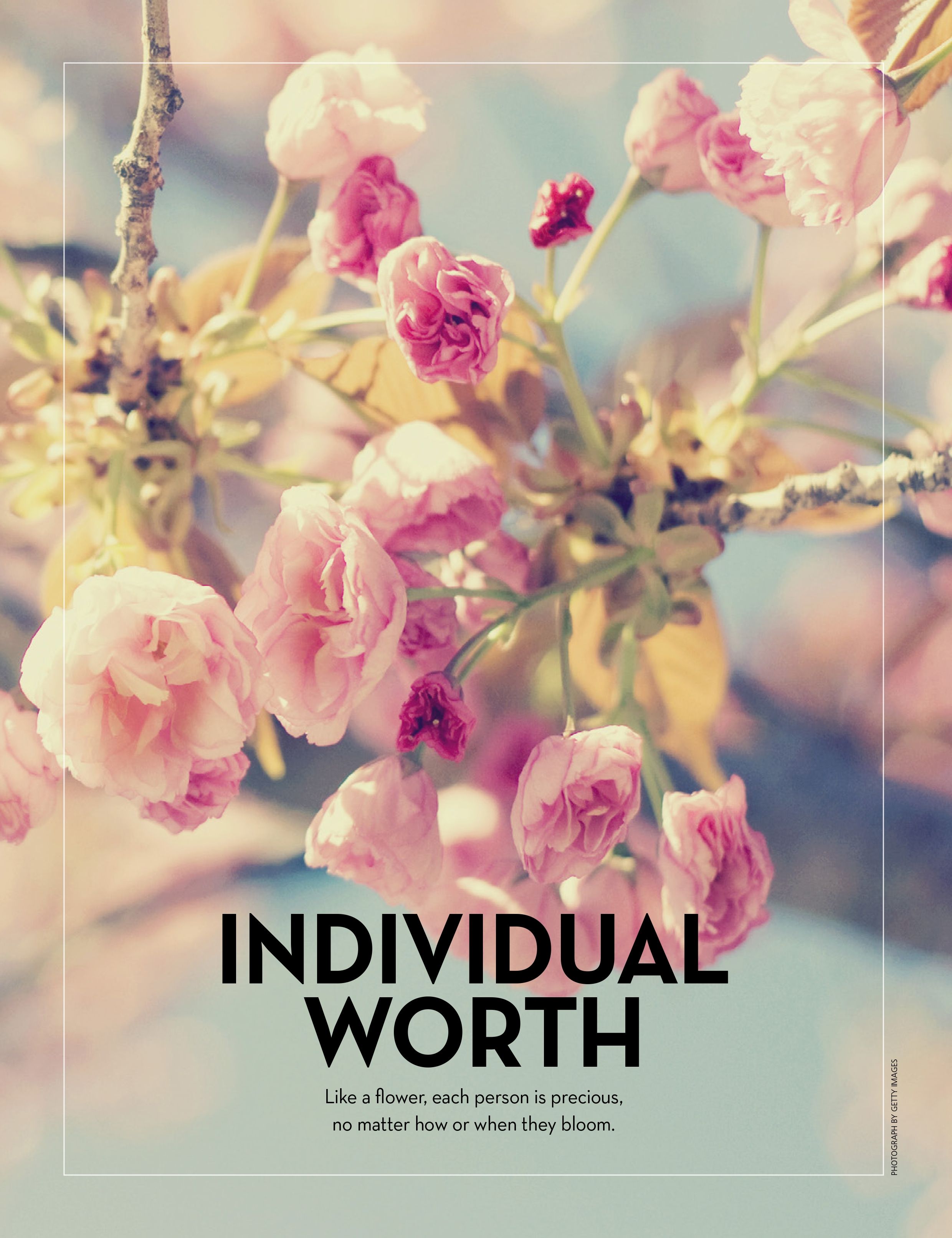 Individual Worth—Mormonads