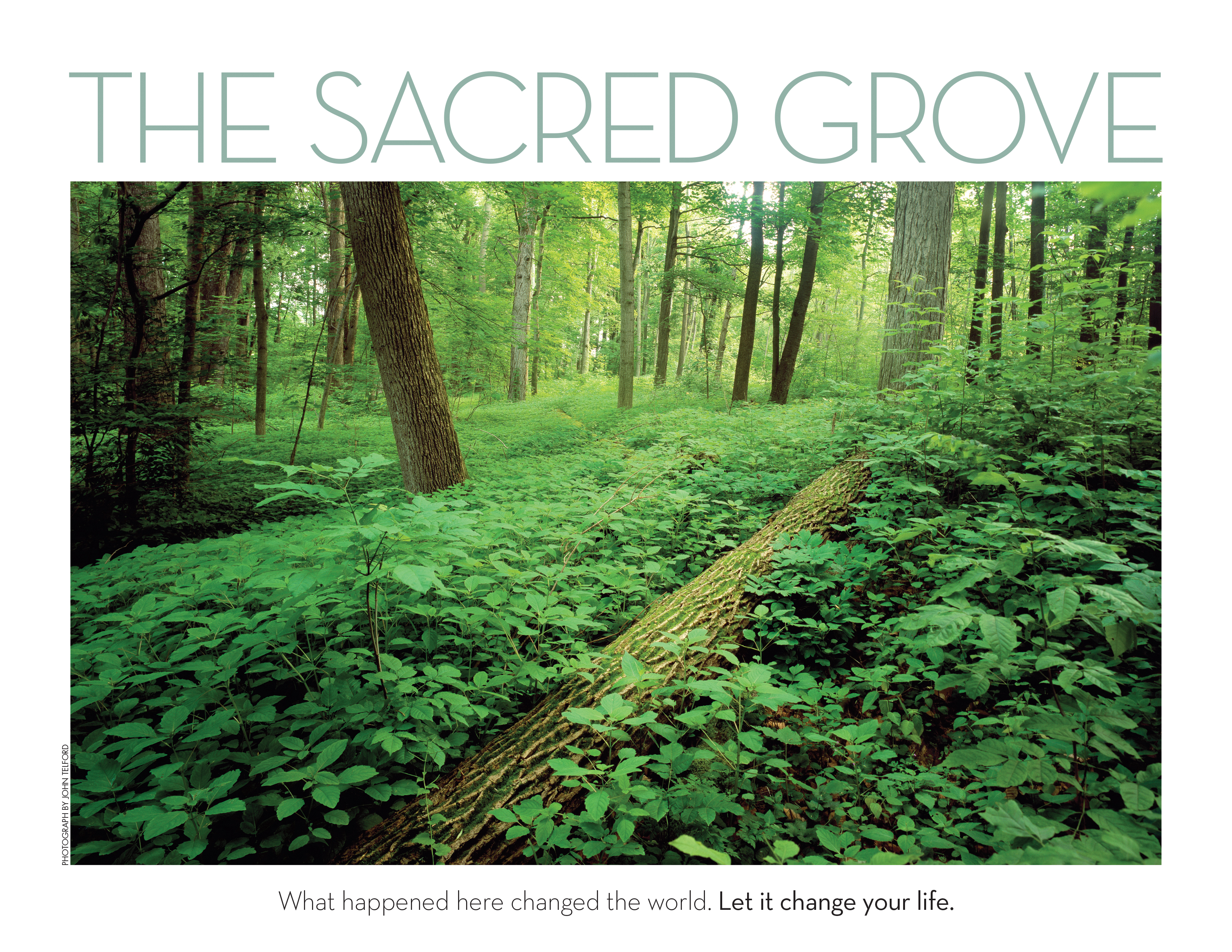 A photograph of the Sacred Grove bordered by the words, “The Sacred Grove: What happened here changed the world. Let it change your life.”