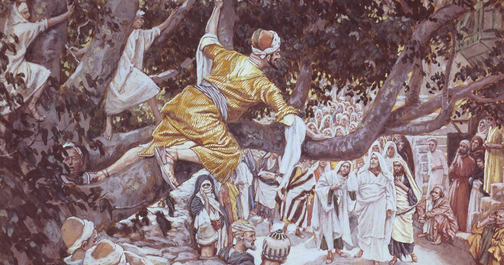 zacchaeus-in-the-sycamore-tree