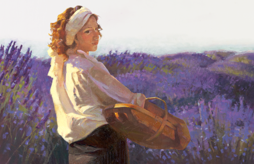 [Woman in lavender field]