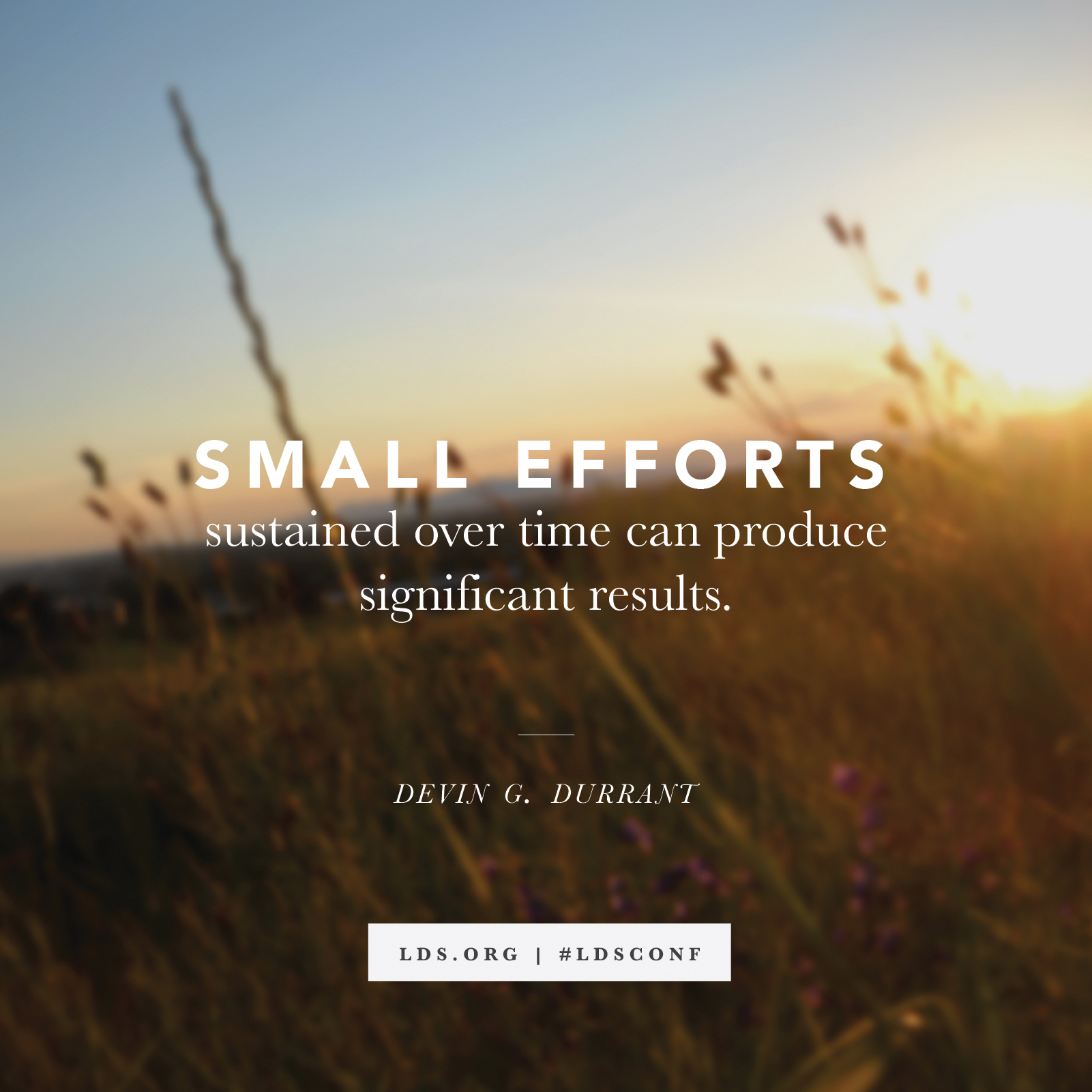 A background of plants growing in a field at sunset, paired with a quote from Devin G. Durrant: “Small efforts … produce significant results.”
