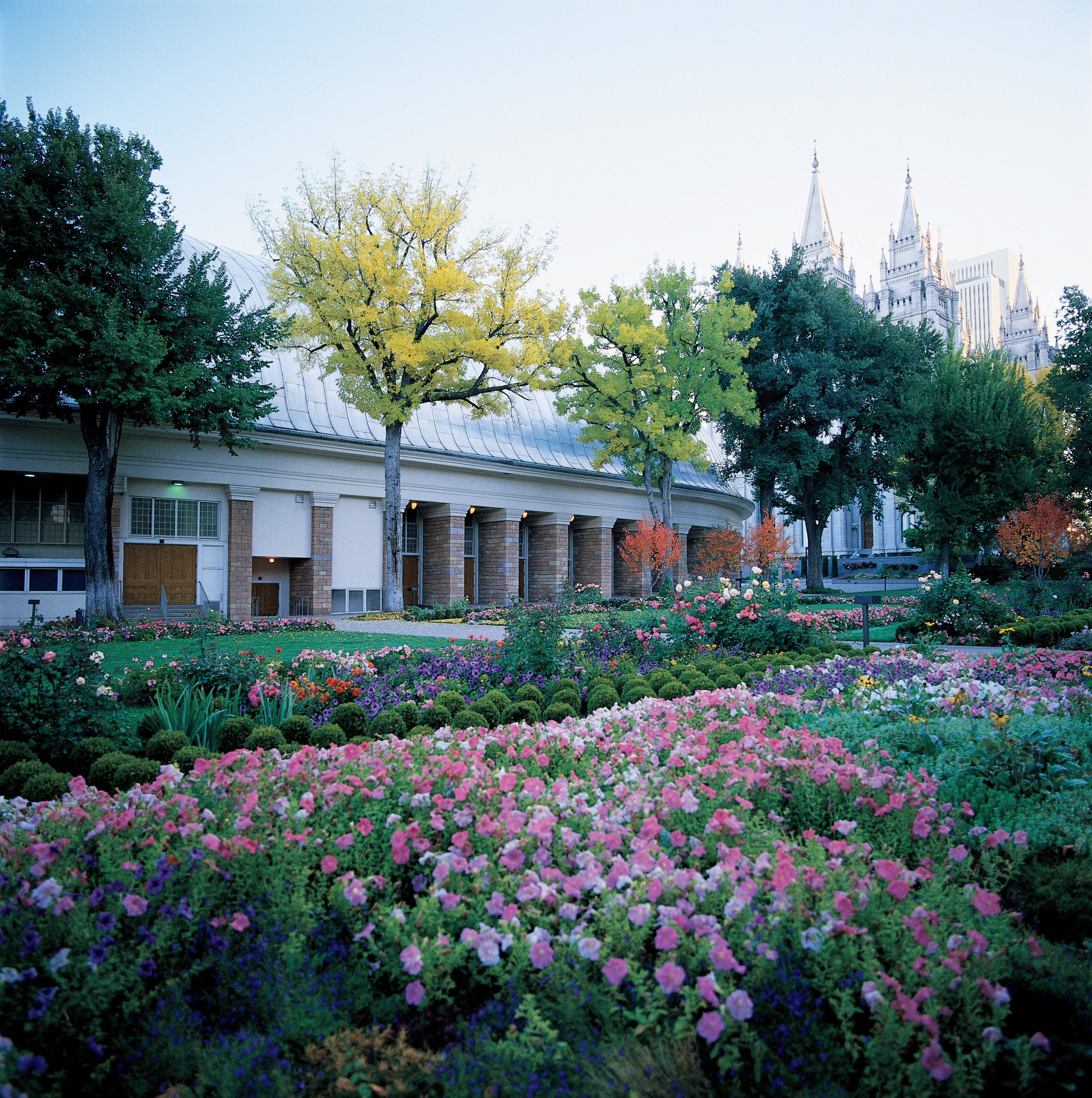 A view of the Salt Lake Tabernacle in the summer with flowers in the foreground and the temple seen in the distance.