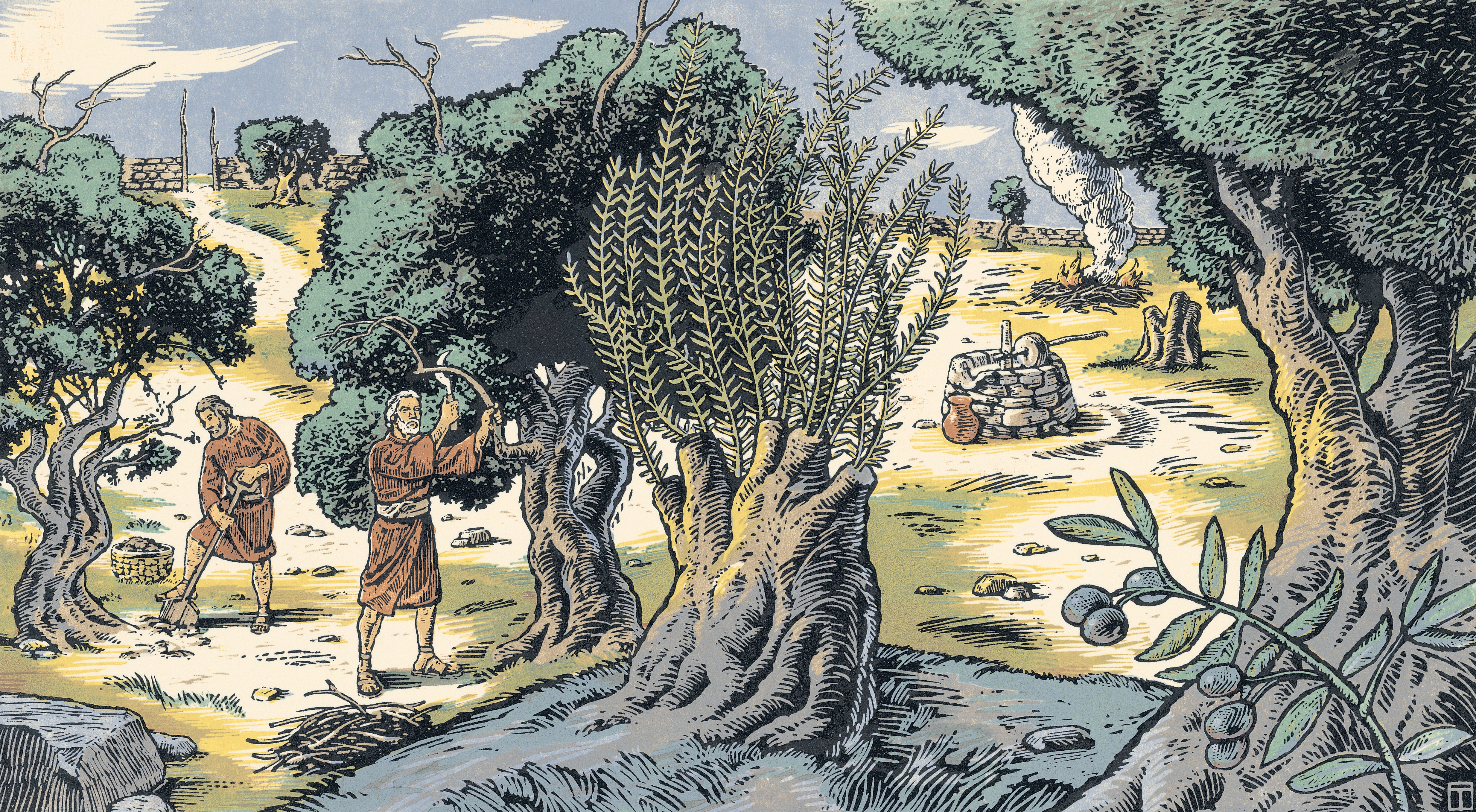 This woodcut illustrates the allegory of the olive tree as described in Jacob 5. It is a seven color woodcut, hand printed from six wood blocks on Arches cover buff paper.