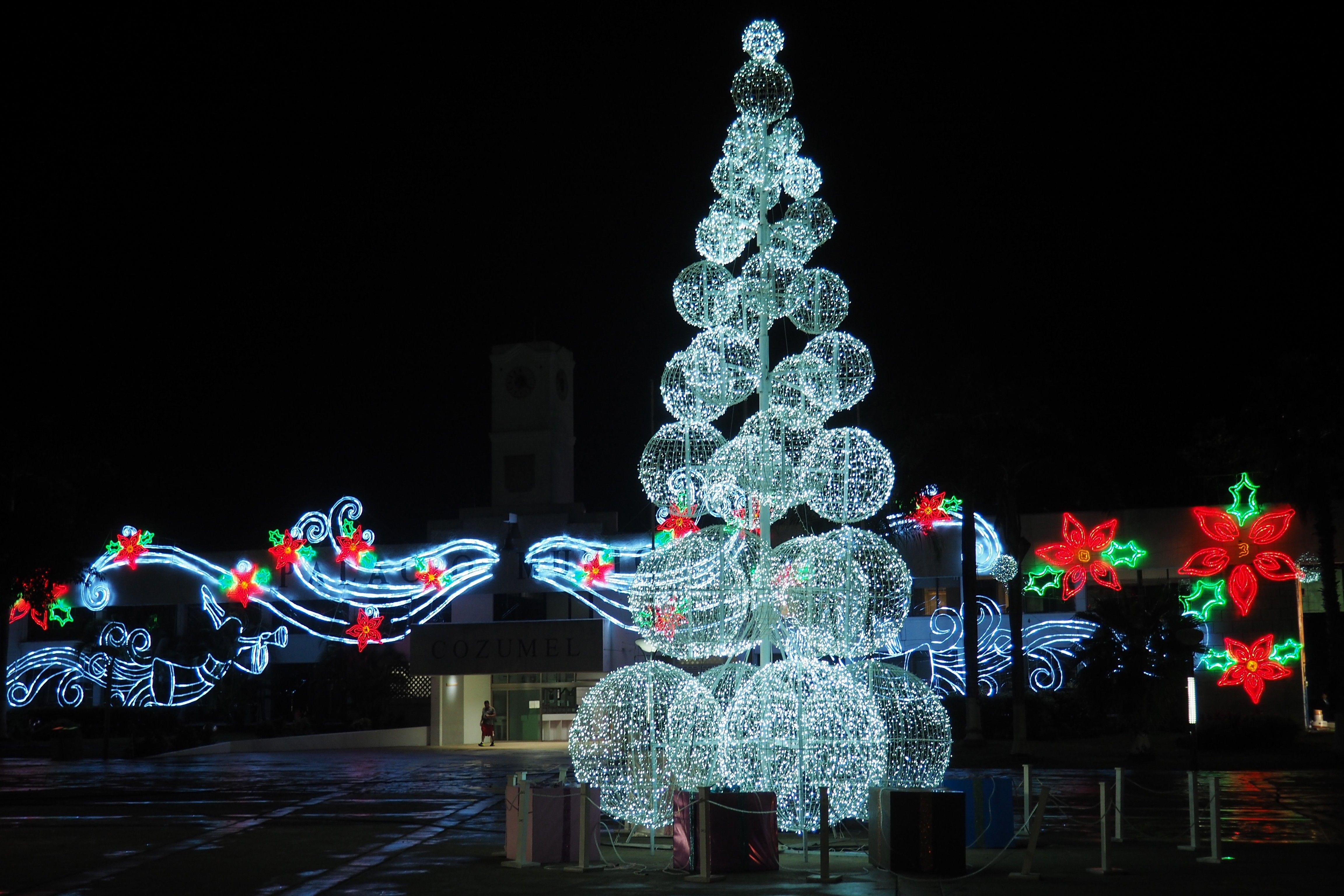 Cozumel Christmas