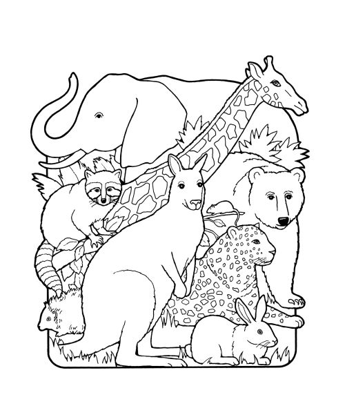 A black-and-white illustration of the creation of animals, including an elephant, giraffe, kangaroo, cheetah, rabbit, raccoon, porcupine, mouse, and bear.