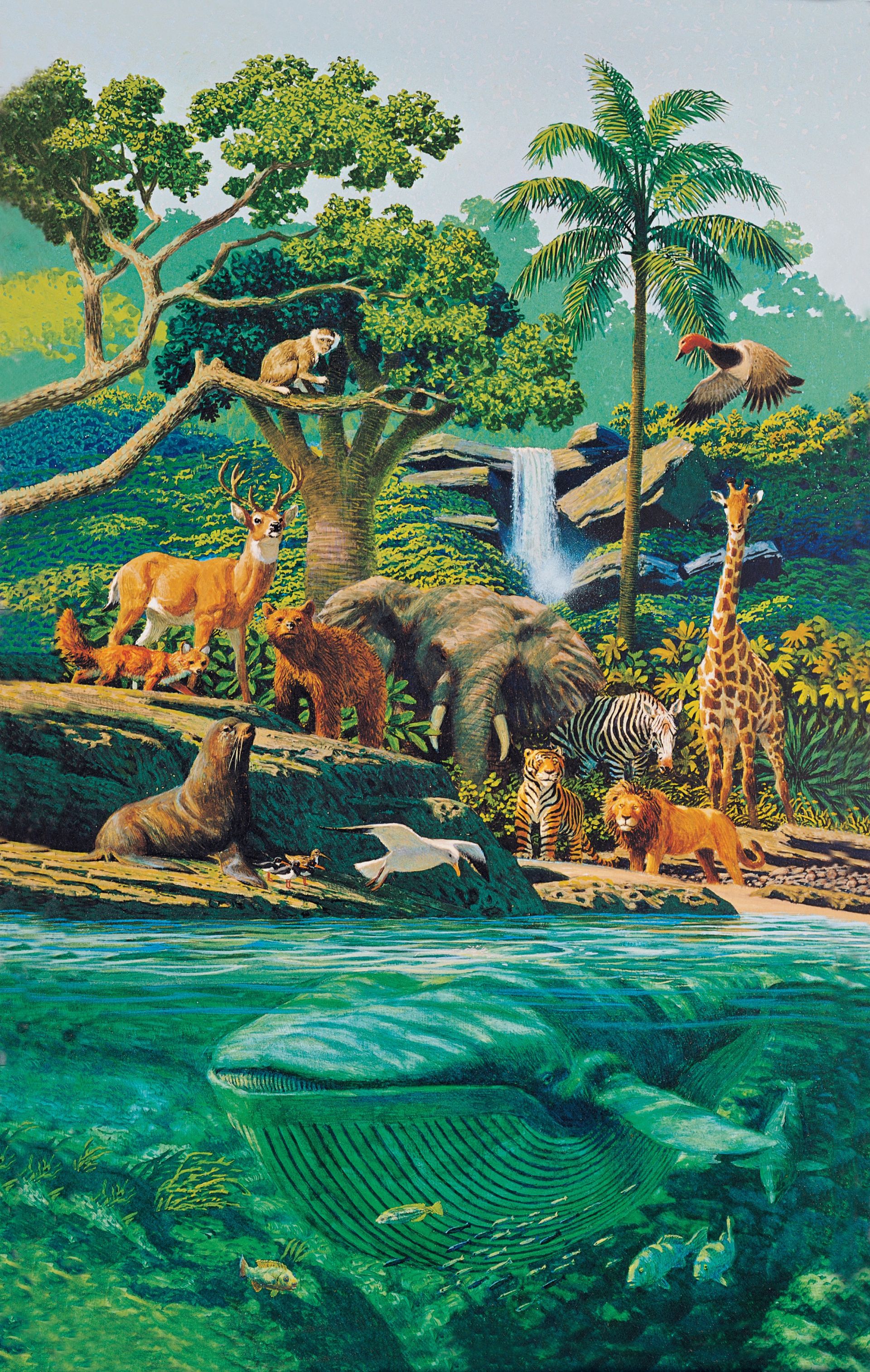 Growing Creatures Creation—Living Creatures