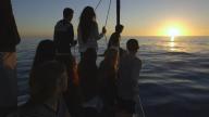Embark