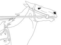 նկար, երասանակով ձի