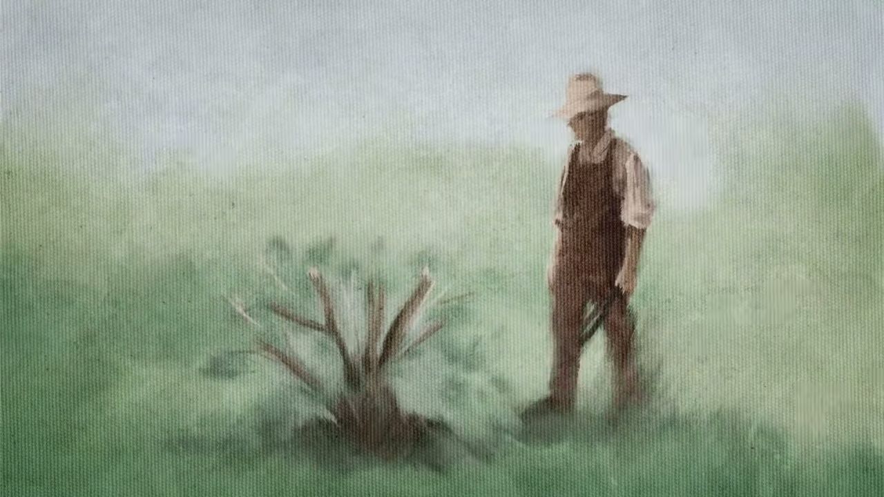 Ilustración de un hombre en un campo mirando un árbol podado
