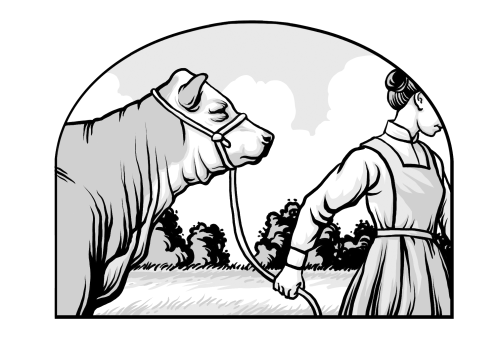 Saints V2 illustration - Woman Leading Cow