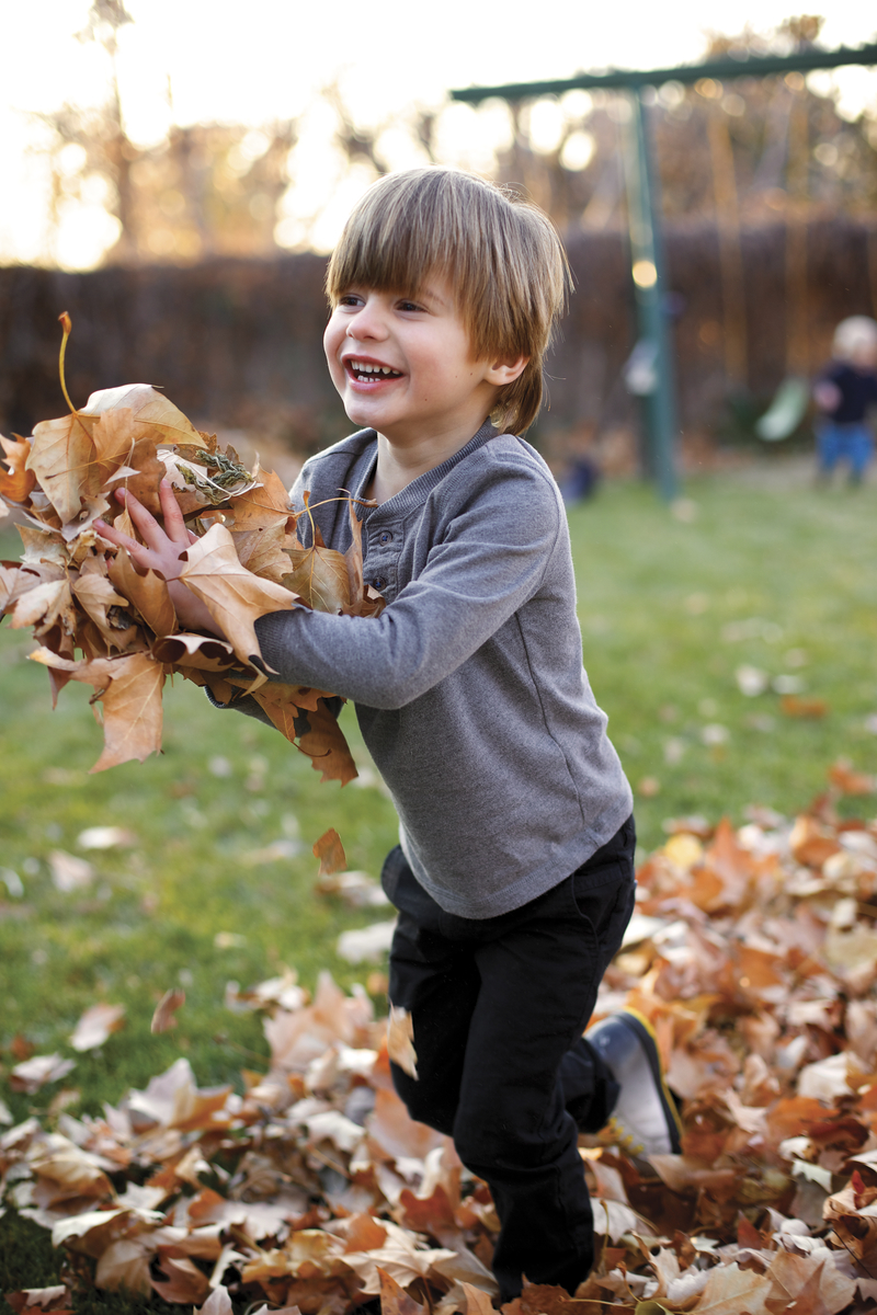 Boy Playing in Leaves