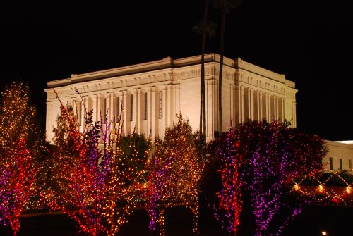 Trees lit up with bright red, orange, and pink Christmas lights, with the Mesa Arizona Temple lit up behind at nighttime.