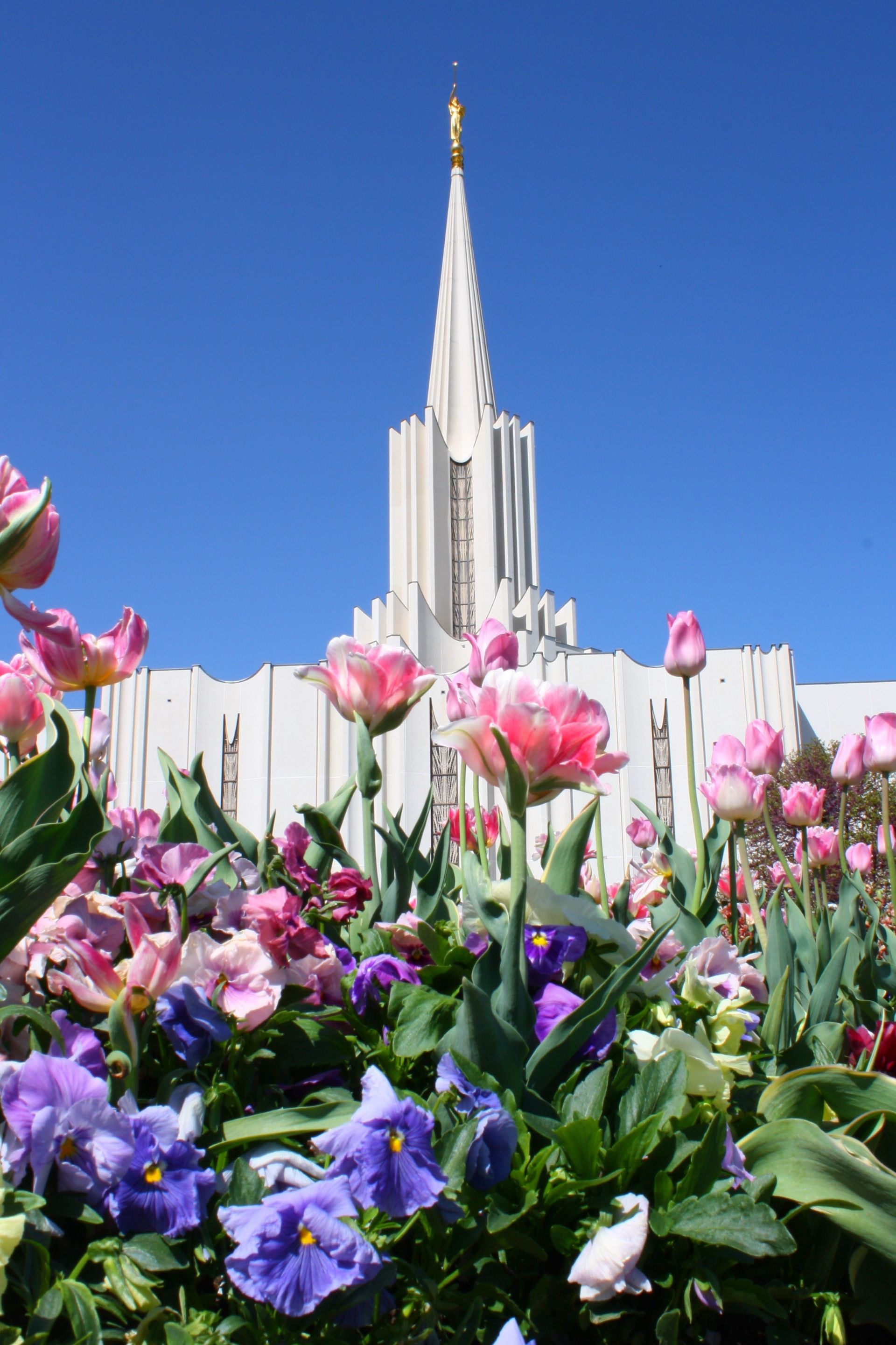 The Jordan River Utah Temple And Grounds   Jordan River Temple Lds 