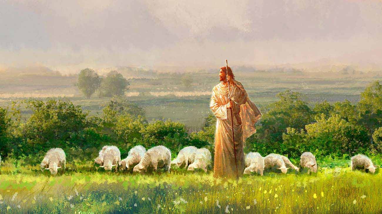 Jesus Christ standing in a field and watching over a herd of sheep.