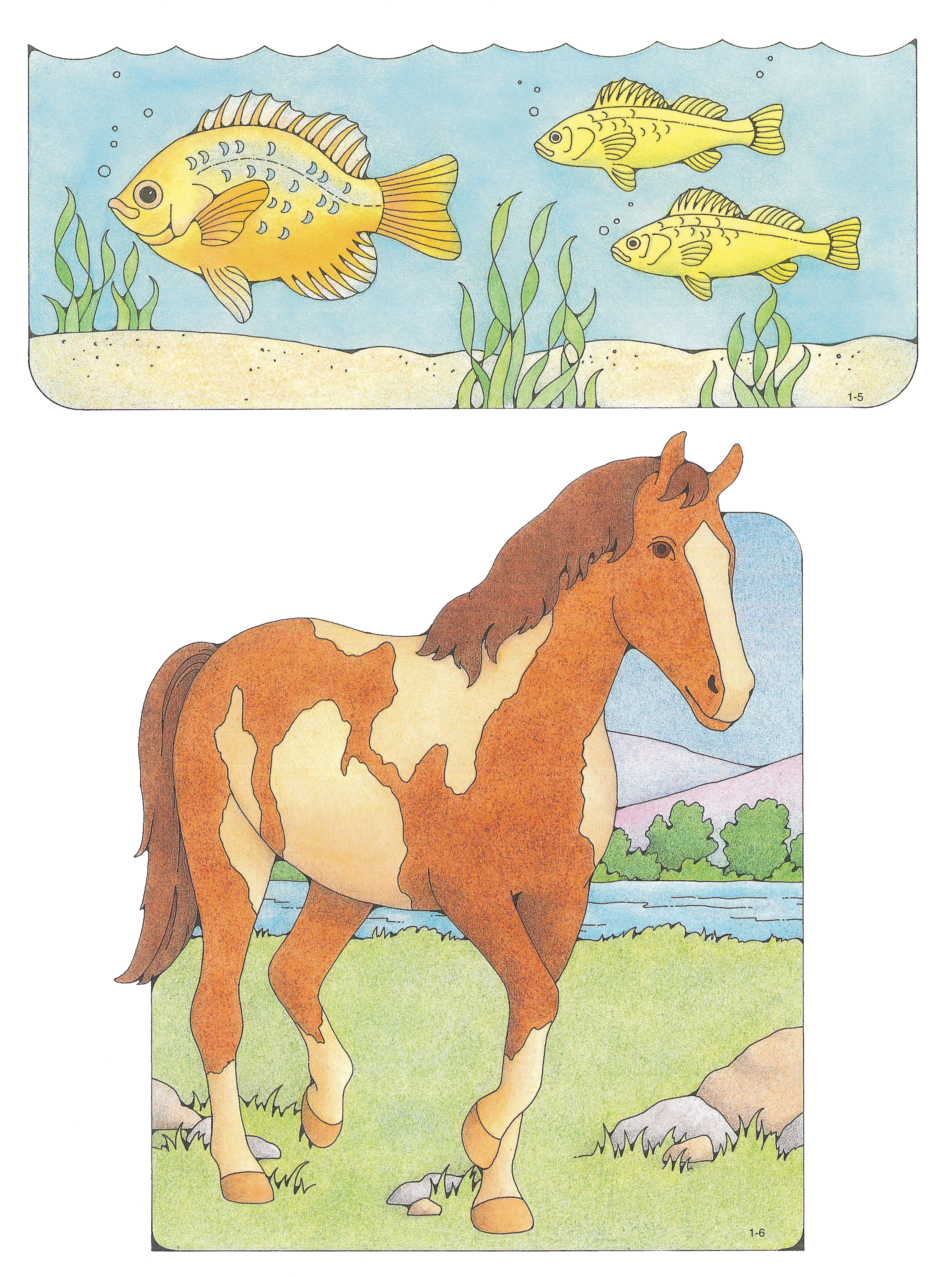 Primary cutouts of three yellow fish swimming in water and a brown horse with cream-colored spots walking on grass near rocks and a river.