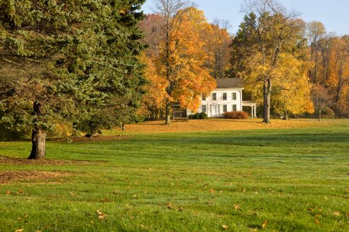 White clapboard house sits in a grove of trees in autumn.