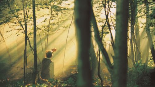 첫번째 시현 동안 성스러운 숲에서 무릎을 꿇고 있는 조셉 스미스 이세. 위에서 여러 빛 줄기가 조셉을 비추고 있다.